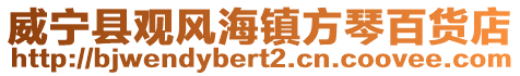 威寧縣觀風海鎮方琴百貨店