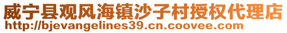 威寧縣觀風海鎮沙子村授權代理店