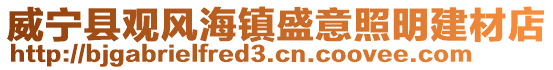 威寧縣觀風海鎮盛意照明建材店