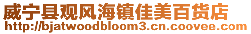 威寧縣觀風海鎮佳美百貨店