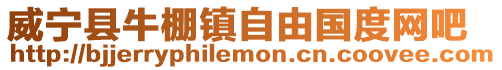 威寧縣牛棚鎮自由國度網吧