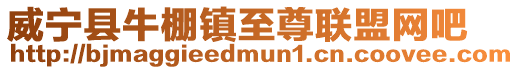 威寧縣牛棚鎮至尊聯盟網吧