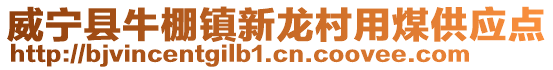威寧縣牛棚鎮新龍村用煤供應點