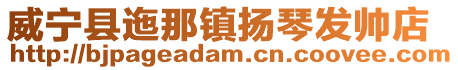 威寧縣迤那鎮(zhèn)揚琴發(fā)帥店