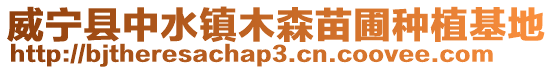 威寧縣中水鎮(zhèn)木森苗圃種植基地