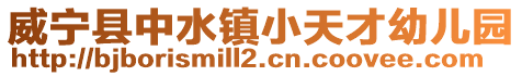 威寧縣中水鎮(zhèn)小天才幼兒園