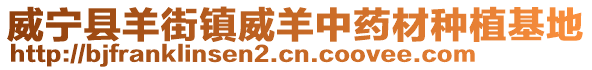 威寧縣羊街鎮威羊中藥材種植基地