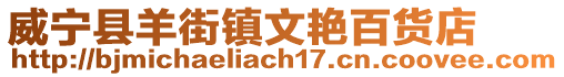 威寧縣羊街鎮(zhèn)文艷百貨店