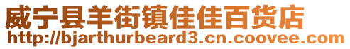 威寧縣羊街鎮(zhèn)佳佳百貨店