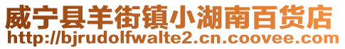 威寧縣羊街鎮(zhèn)小湖南百貨店