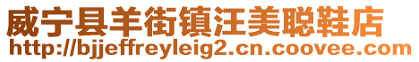 威寧縣羊街鎮汪美聰鞋店