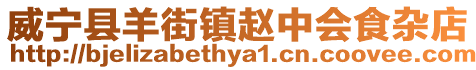 威寧縣羊街鎮(zhèn)趙中會食雜店