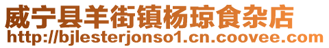 威寧縣羊街鎮(zhèn)楊瓊食雜店