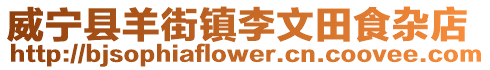 威寧縣羊街鎮(zhèn)李文田食雜店