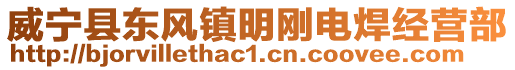 威寧縣東風鎮(zhèn)明剛電焊經(jīng)營部