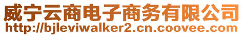 威寧云商電子商務有限公司