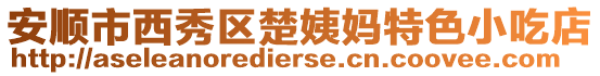 安順市西秀區(qū)楚姨媽特色小吃店