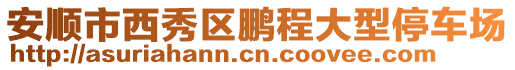 安順市西秀區(qū)鵬程大型停車場