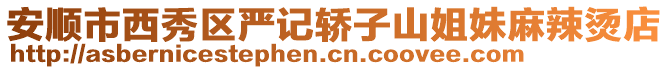 安順市西秀區(qū)嚴(yán)記轎子山姐妹麻辣燙店