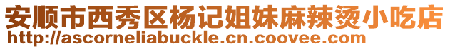 安順市西秀區(qū)楊記姐妹麻辣燙小吃店