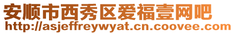 安順市西秀區愛福壹網吧