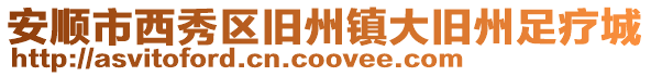 安順市西秀區舊州鎮大舊州足療城