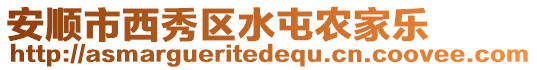 安順市西秀區(qū)水屯農(nóng)家樂