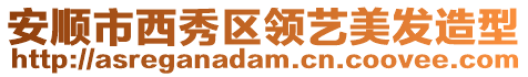 安順市西秀區領藝美發造型
