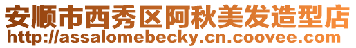 安順市西秀區(qū)阿秋美發(fā)造型店