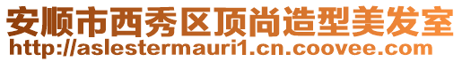 安順市西秀區頂尚造型美發室