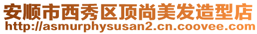 安順市西秀區(qū)頂尚美發(fā)造型店