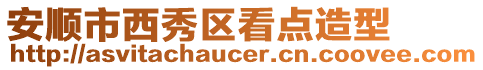 安順市西秀區看點造型