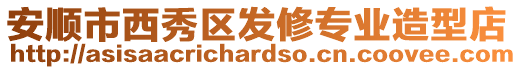 安順市西秀區(qū)發(fā)修專業(yè)造型店