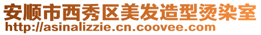 安順市西秀區(qū)美發(fā)造型燙染室