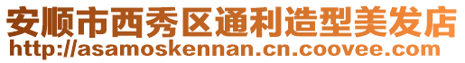 安順市西秀區通利造型美發店