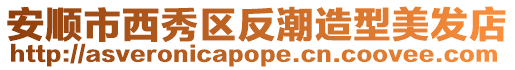 安順市西秀區反潮造型美發店