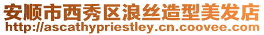 安順市西秀區浪絲造型美發店