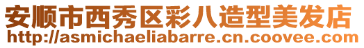 安順市西秀區彩八造型美發店