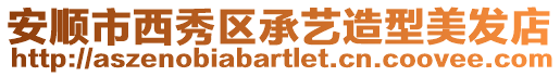 安順市西秀區承藝造型美發店