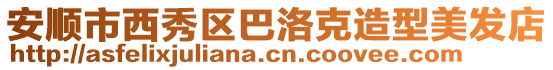 安順市西秀區巴洛克造型美發店