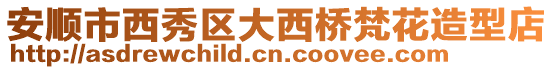 安順市西秀區(qū)大西橋梵花造型店