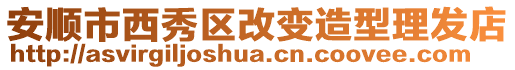 安順市西秀區(qū)改變?cè)煨屠戆l(fā)店