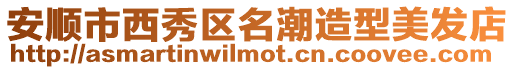 安順市西秀區名潮造型美發店