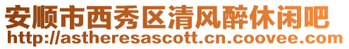 安順市西秀區清風醉休閑吧