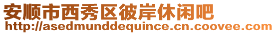 安順市西秀區(qū)彼岸休閑吧