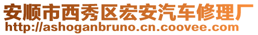 安順市西秀區宏安汽車修理廠