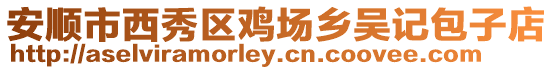 安順市西秀區(qū)雞場(chǎng)鄉(xiāng)吳記包子店