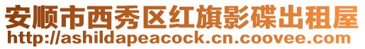 安順市西秀區紅旗影碟出租屋