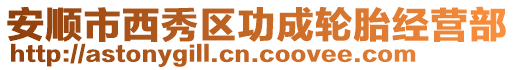 安順市西秀區(qū)功成輪胎經(jīng)營部