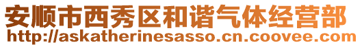安順市西秀區和諧氣體經營部